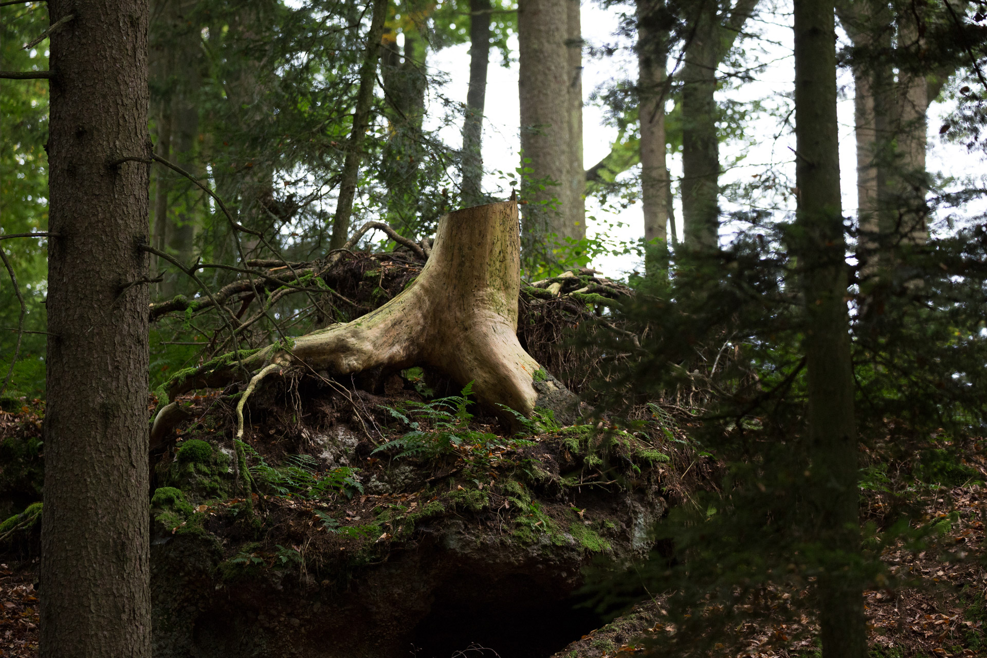 20231014100727 3K6A2250